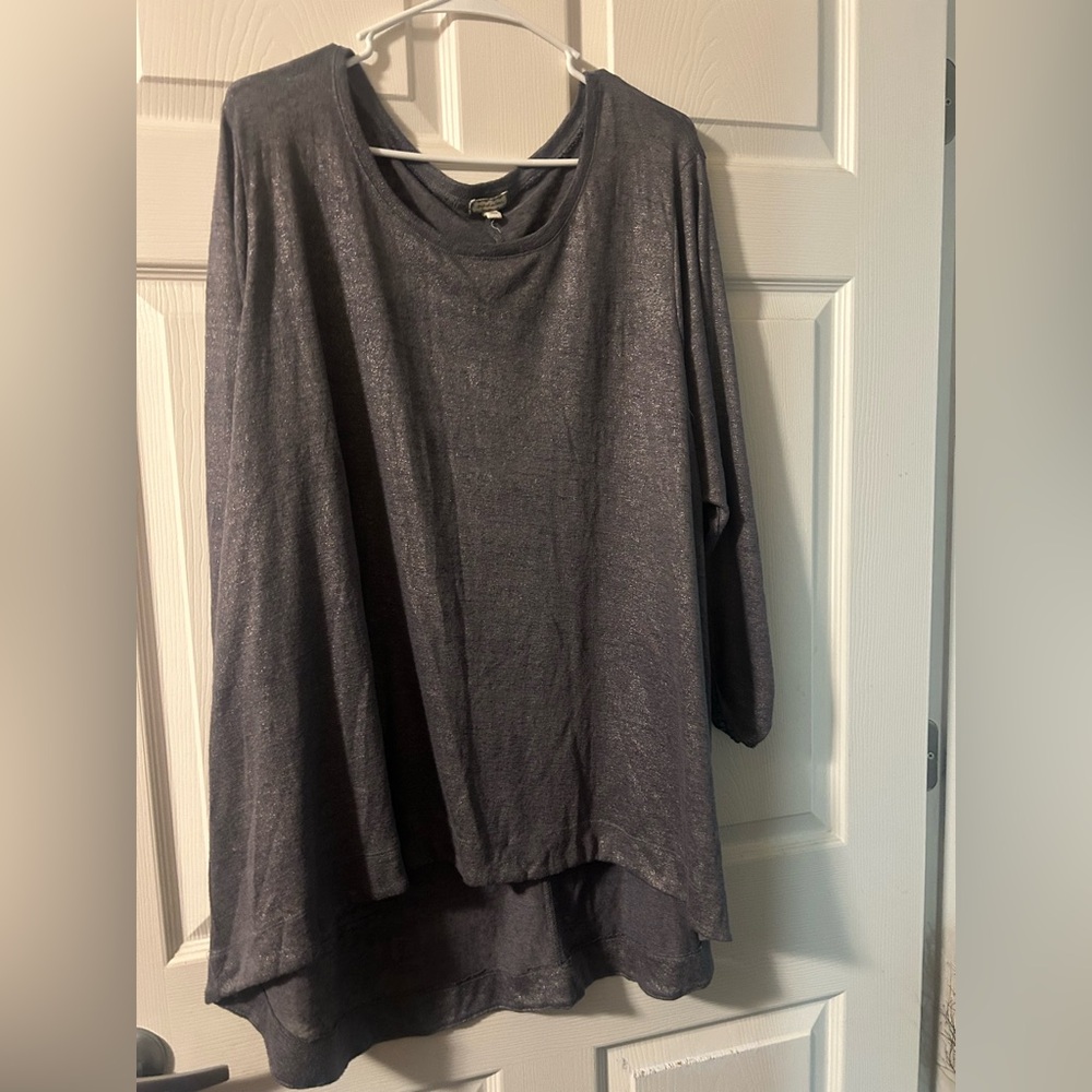 Shimmering Gray Long Sleeve Top